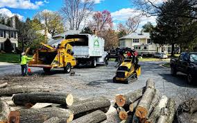  Pawcatuck, CT Tree Care Pros