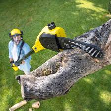 Best Aeration Services  in Pawcatuck, CT