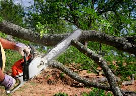 Best Lawn Irrigation Installation and Maintenance  in Pawcatuck, CT